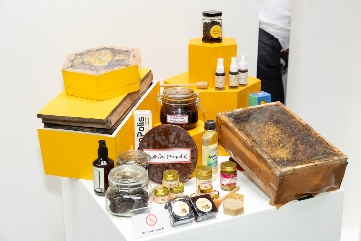 กรมส่งเสริมการเกษตร จับมือ NEXTOPIA จัดงาน “World Bee Day 2026” หนุนแมลงเศรษฐกิจสู่ตลาดมูลค่าสูง วันนี้ถึง 24 พฤษภาคม 2569 ณ NEXTOPIA ชั้น 5 สยามพารากอน